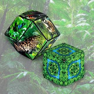 SHASHIBO Shape Shifting Box - Brain Puzzle