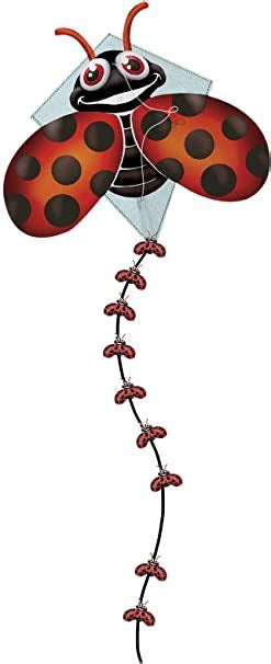 Ready to Fly Nylon Shape Pop-Up Kite