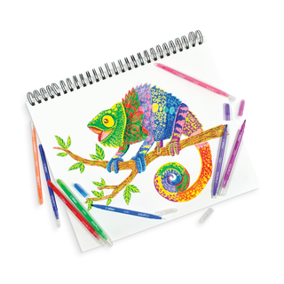 Ooly Switch-eroo Color Changing Markers -Set of 12