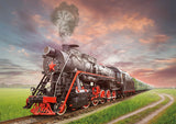 Educa Steam Train Puzzle - 2000Pc