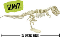 I Dig It! Dinos: Giant Dinosaur Skeleton Kit