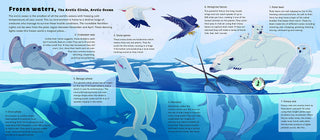 World of Oceans - Sounds of Nature