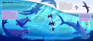 World of Oceans - Sounds of Nature