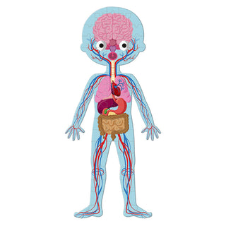 Janod Human Body Educational Puzzle
