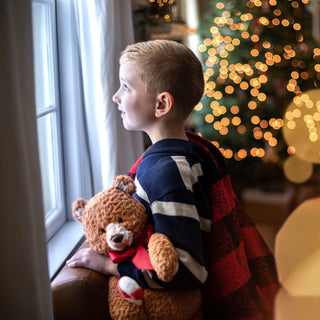 Theodore the Christmas Teddy Bear