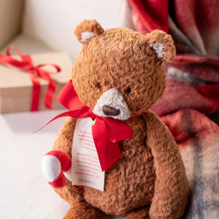 Theodore the Christmas Teddy Bear