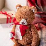 Theodore the Christmas Teddy Bear